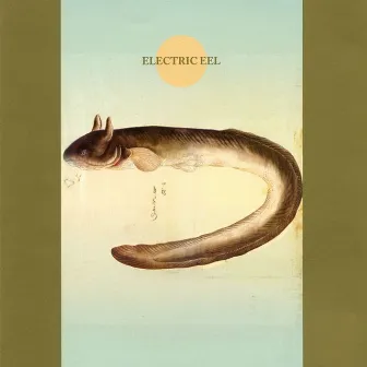 Electric Eel by Makigami Koichi