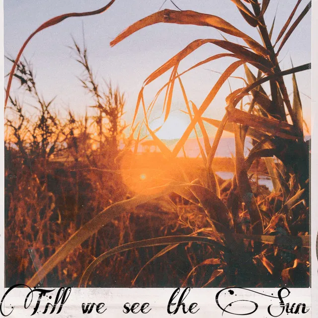 Till We See the Sun