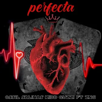 Perfecta by Kid guzzi