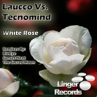 White Rose by Laucco Vs. Tecnomind