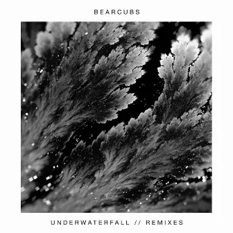 Underwaterfall (Remixes) by Bearcubs