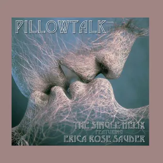 Pillowtalk by Erica Rose Sauder