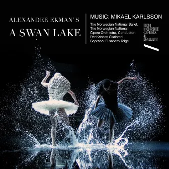 A Swan Lake (feat. Norwegian National Opera Orchestra & Per Kristian Skalstad) by Mikael Karlsson