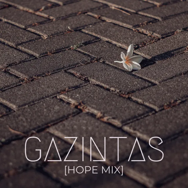 Gazintas - Hope Mix