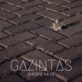 Gazintas (Hope Mix) by Emcee Graffiti