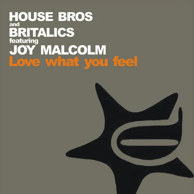 Love What You Feel - House Bros Back To Disco Edit