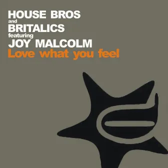 Love What You Feel by Britalics