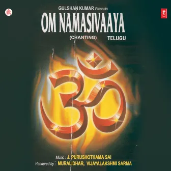 Om Namasivaaya (Chanting) by Vijayalakshmi Sarma