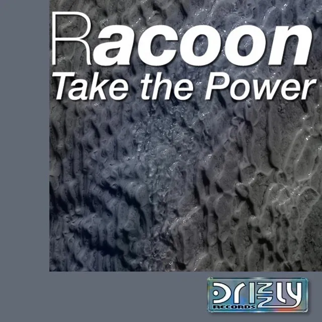 Take The Power - Racoon Main Mix