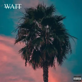 Wait by Young Cap