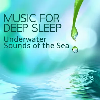 Music for Deep Sleep with Underwater Sounds of the Sea - Relaxing Bioacoustics Sea Sounds for True Rest - Music for Dreaming and Sleeping by Underwater Sounds Specialists