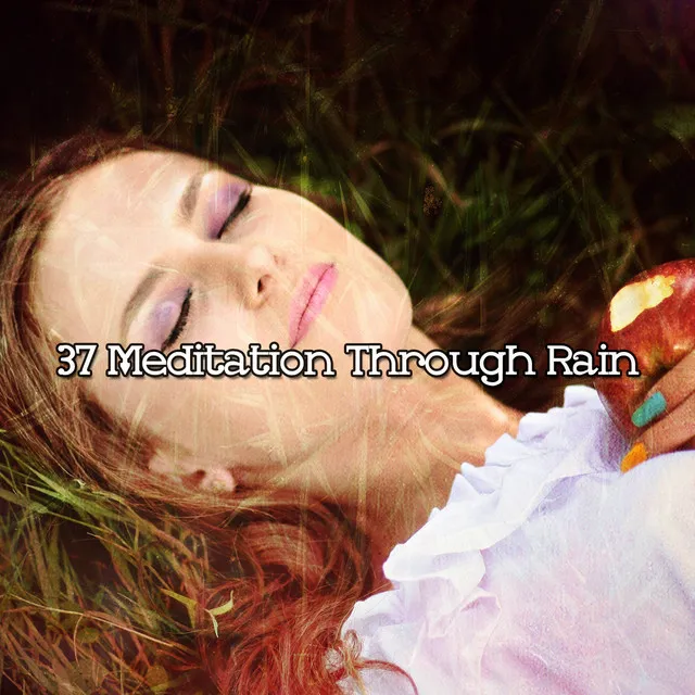 37 Meditation Through Rain