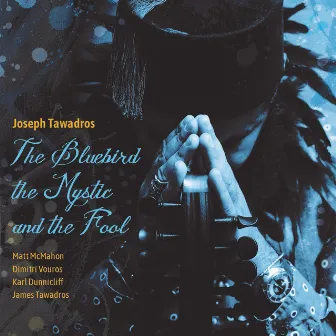 The Bluebird, the Mystic and the Fool by Joseph Tawadros