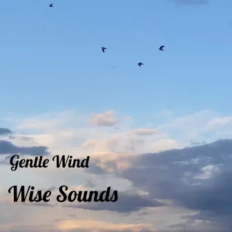 Wise Sounds by Gentle Wind