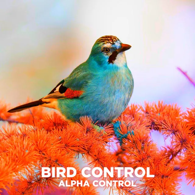 Bird Control - Techno