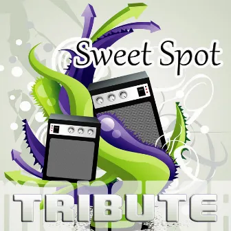 Sweet Spot (Instrumental Tribute to Flo Rida feat. Jennifer Lopez) by 