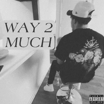 WAY 2 MUCH by DU$T1N