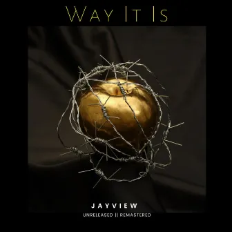 Way It Is by Jayview