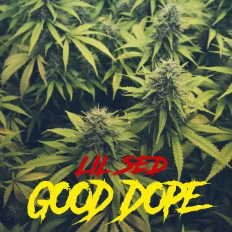 Good Dope by Lil Sed