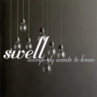 Everybody Wants to Know by Swell