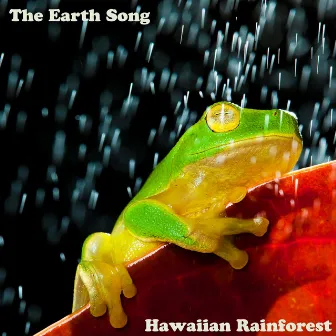 Hawaiian Rainforest by The Earth Song