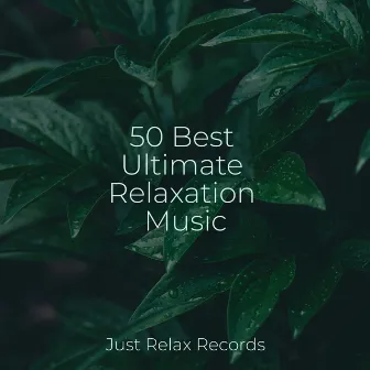 50 Best Ultimate Relaxation Music by Nursery Rhymes Club