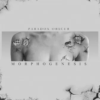 Morphogenesis by Paradox Obscur