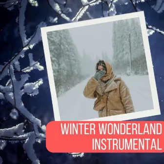 Winter Wonderland Instrumental (Christmas) by Christmas Time