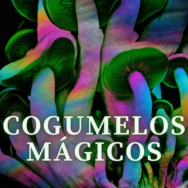 Cogumelos Mágicos