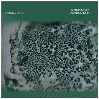 Avantgarde EP by Martin Gruen