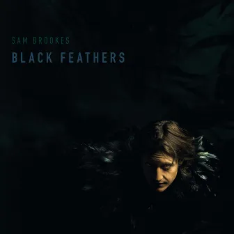 Black Feathers by Sam Brookes