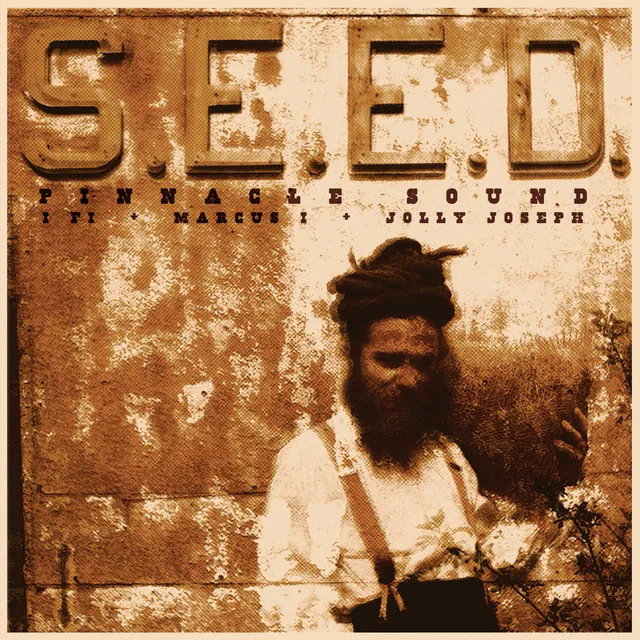 Seed