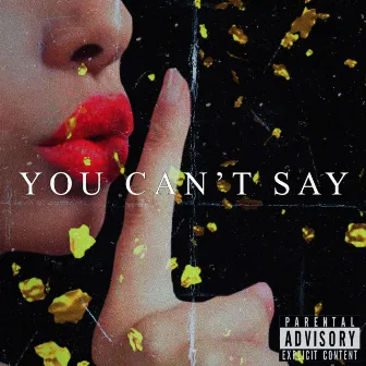 You Can't Say by Lod Ti