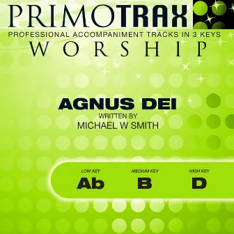 Agnus Dei (Worship Primotrax) [Performance Tracks] - EP by Brent Miller