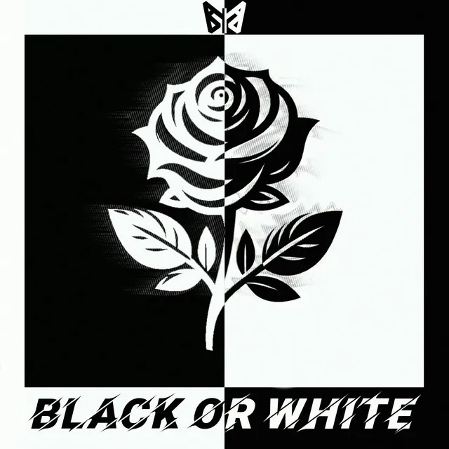 BLACK or WHITE