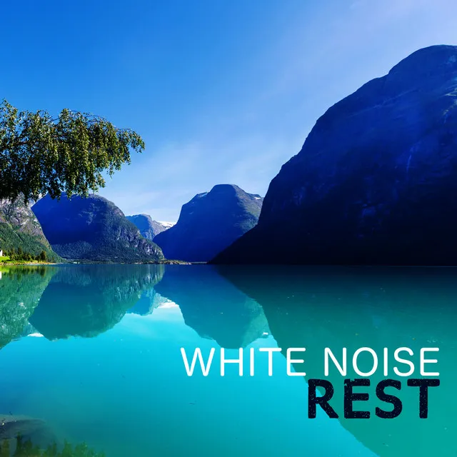 White Noise: Brownian Noises