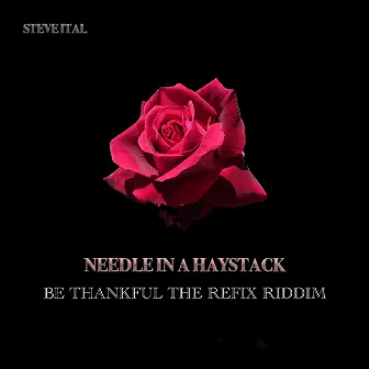 Needle In A Haystack by Steve Ital