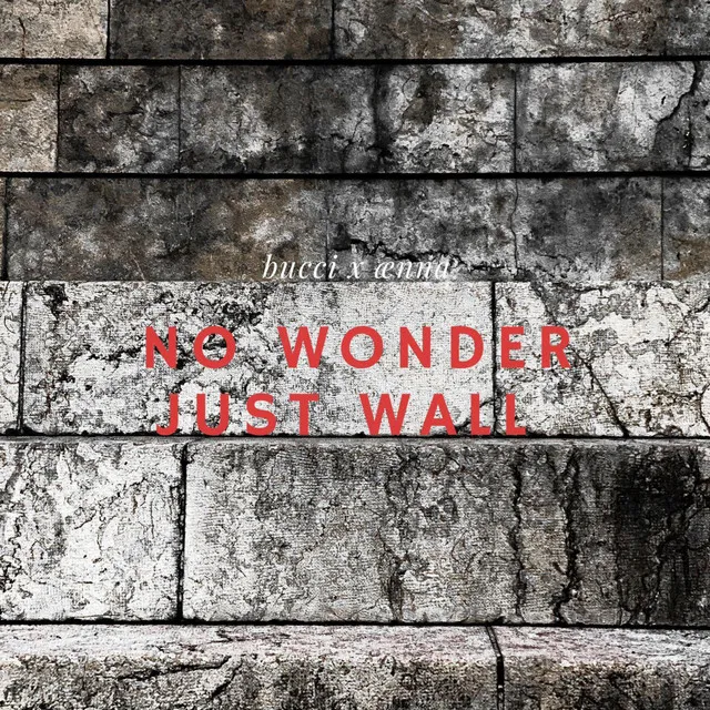 nowonderjustwall