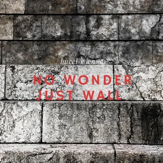 nowonderjustwall by bucci