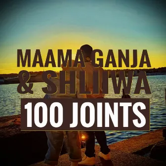 100 Joints by Shliiwa