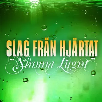 Simma Lugnt by Slag Från Hjärtat