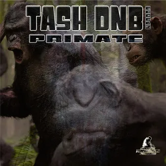 Primate by Tash dnb