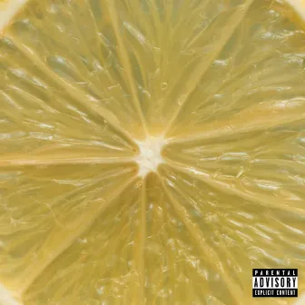 LEMONS by Rob the Hippie