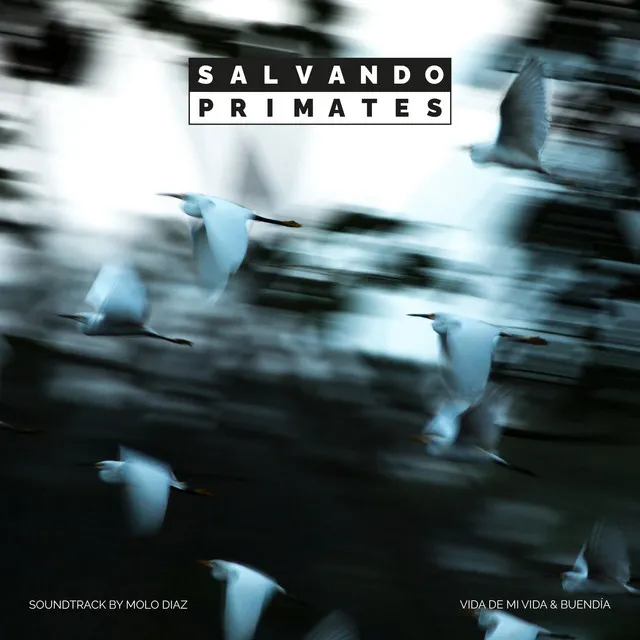 Vida de mi Vida - Salvando Primates - Original Motion Picture Soundtrack