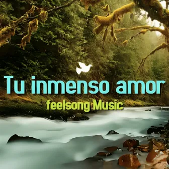 Tu Inmenso Amor by Feelsong Music