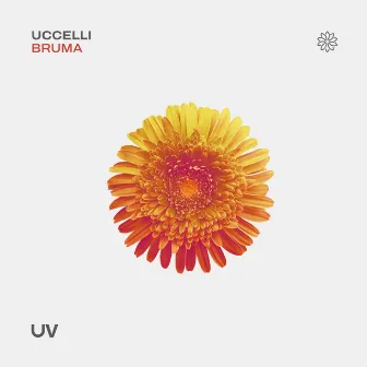 Bruma by Uccelli