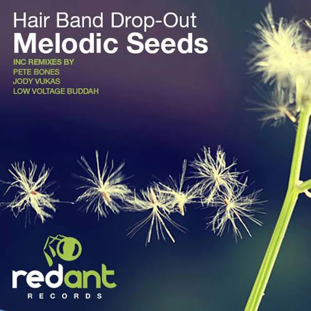 Melodic Seeds - Pete Bones Remix