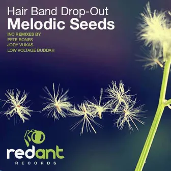 Melodic Seeds by Hair Band Drop-Out