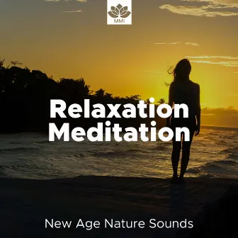 New Age and Nature Sounds for Relaxation Meditation by Unknown Artist