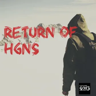 Return of Hgns by Hgns